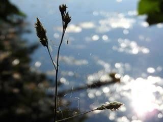 comment se passe 1 seance