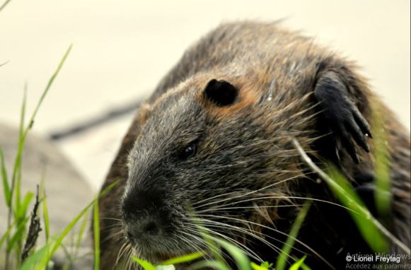 2022-02-21 18_23_10-Photos