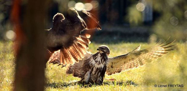 2022-02-21 18_26_11-Photos