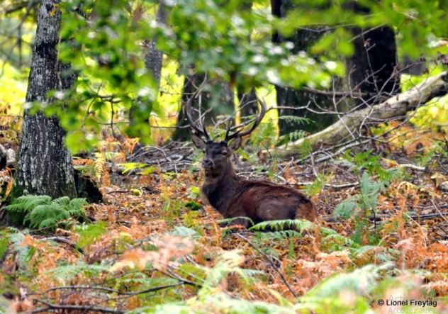 2022-02-21 18_29_08-Photos