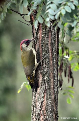 2022-02-21 18_37_45-Photos