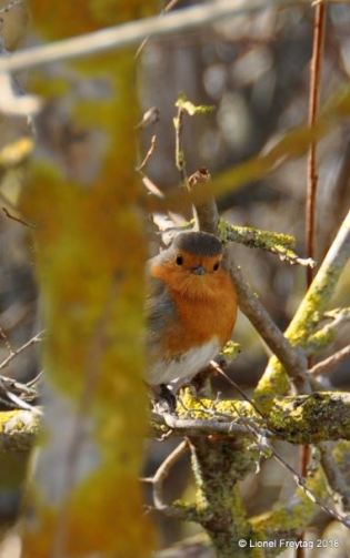 2022-02-21 18_38_09-Photos