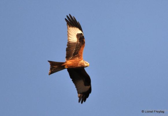 2022-02-21 18_38_29-Photos