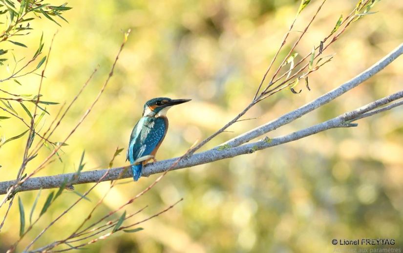 2022-02-21-18_39_09-photos-2