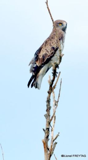 2022-02-21 18_40_05-Photos